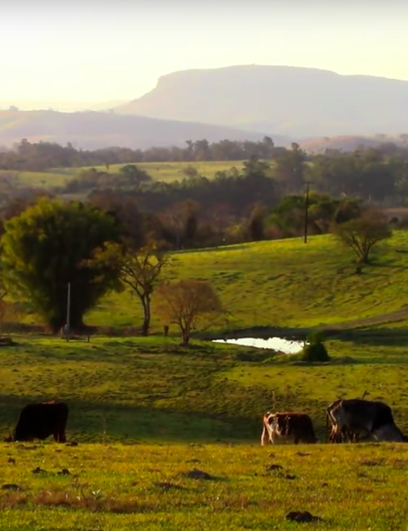 Beautiful Village Life & Landscapes Stock Footages 