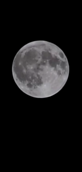 FULL MOON VIDEO HD 